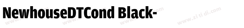 NewhouseDTCond Black字体转换